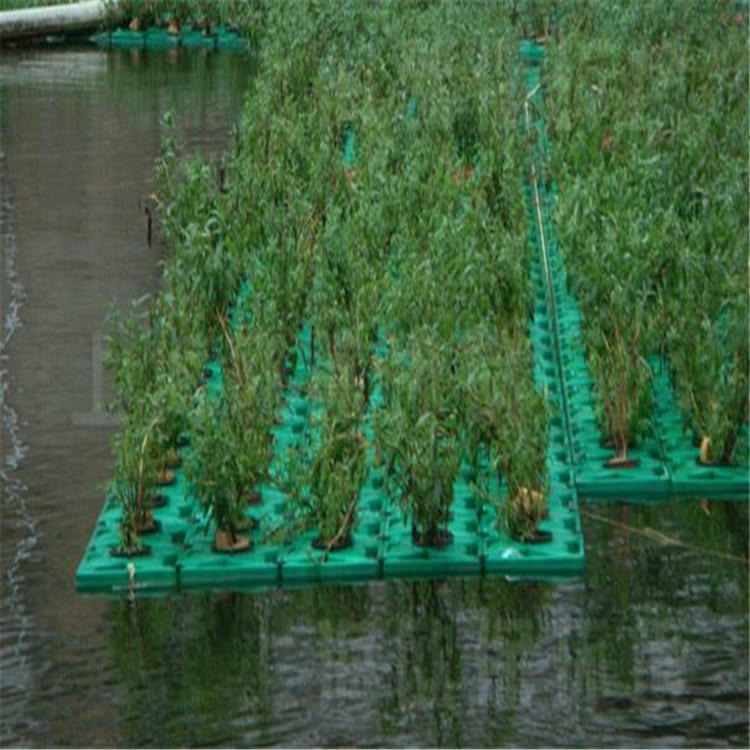 胜城水上种植水生植物用人工生态浮岛 又称塑料浮床 水上造景水质改善