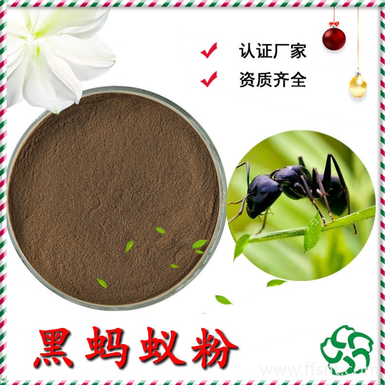 黑蚂蚁粉 98%黑蚂蚁粉 黑蚂蚁原粉 黑蚂蚁提取物 斯诺特
