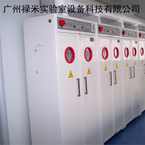 禄米实验室 定制广州全钢气瓶柜  单瓶 双瓶气瓶柜  防爆气瓶柜LUMI-QPG8264