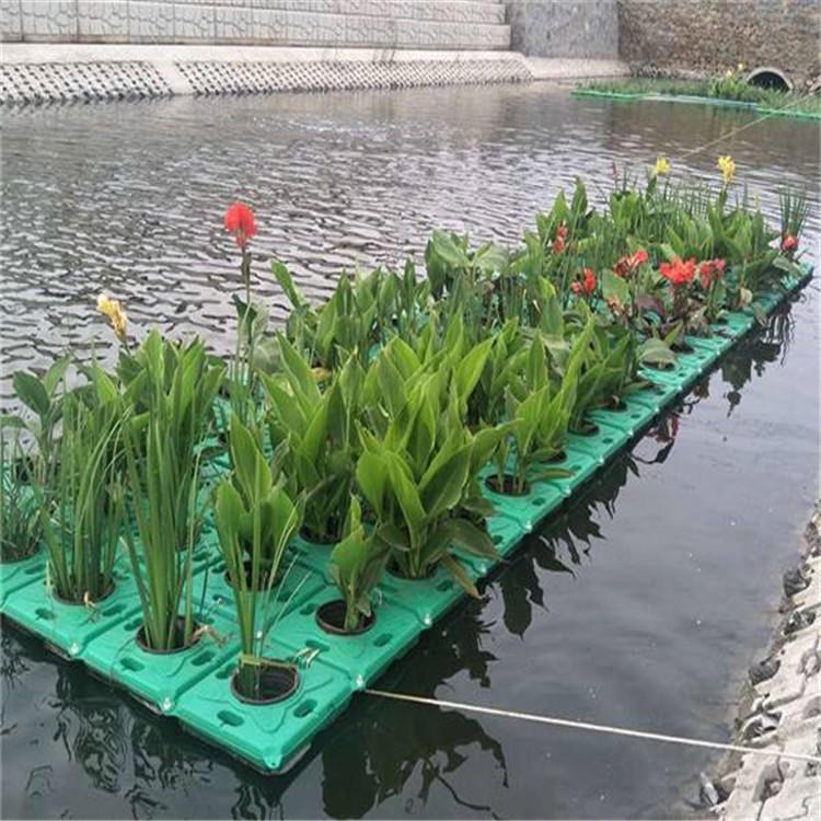 水生蔬菜种植 生态浮床塑料人工浮岛批发河道治理水生植物浮岛