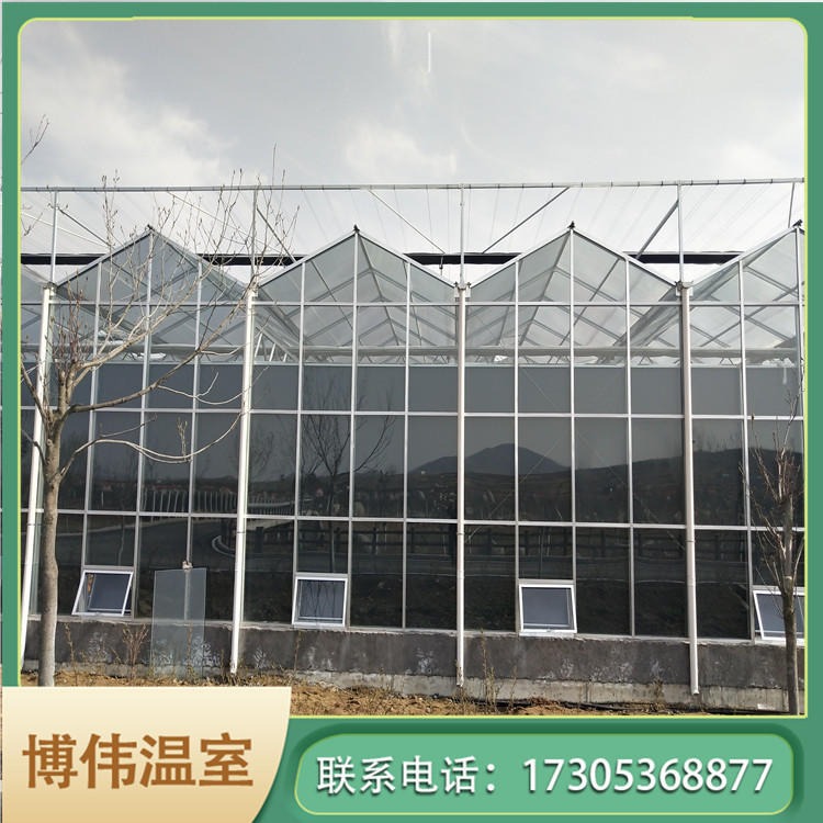 博伟 中空玻璃温室 联栋玻璃温室建造 玻璃温室