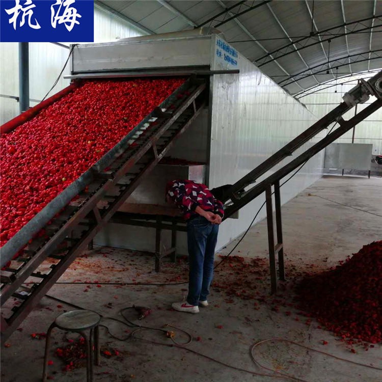 杭海机械 隧道式辣椒烘干机 烘干设备 辣椒烘干机厂家