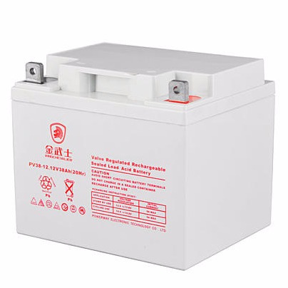 金武士蓄电池12V38AH 金武士铅酸免维护蓄电池 UPS电源专用 金武士PW38-12