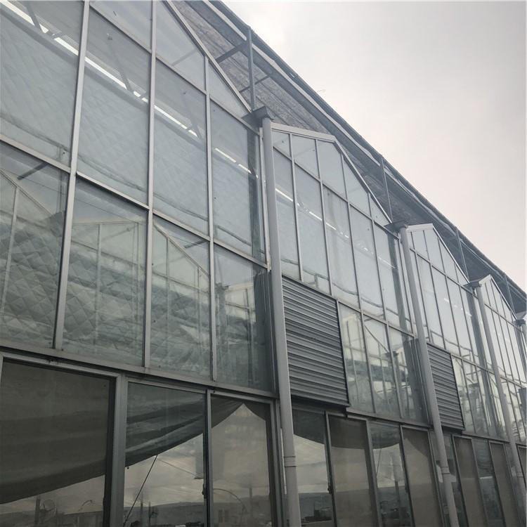 博伟 BW 玻璃温室 智能温室 连栋玻璃温室建设