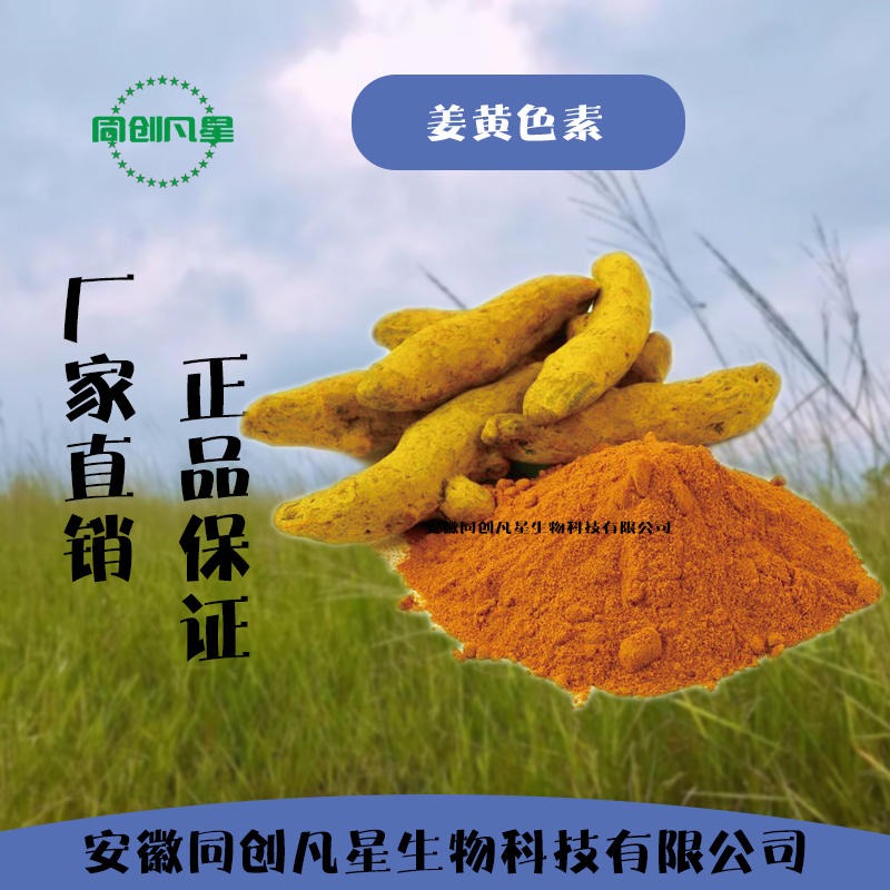 食品级姜黄色素生产厂商 现货批发供应 安徽同创凡星 食用着色剂 食用色素