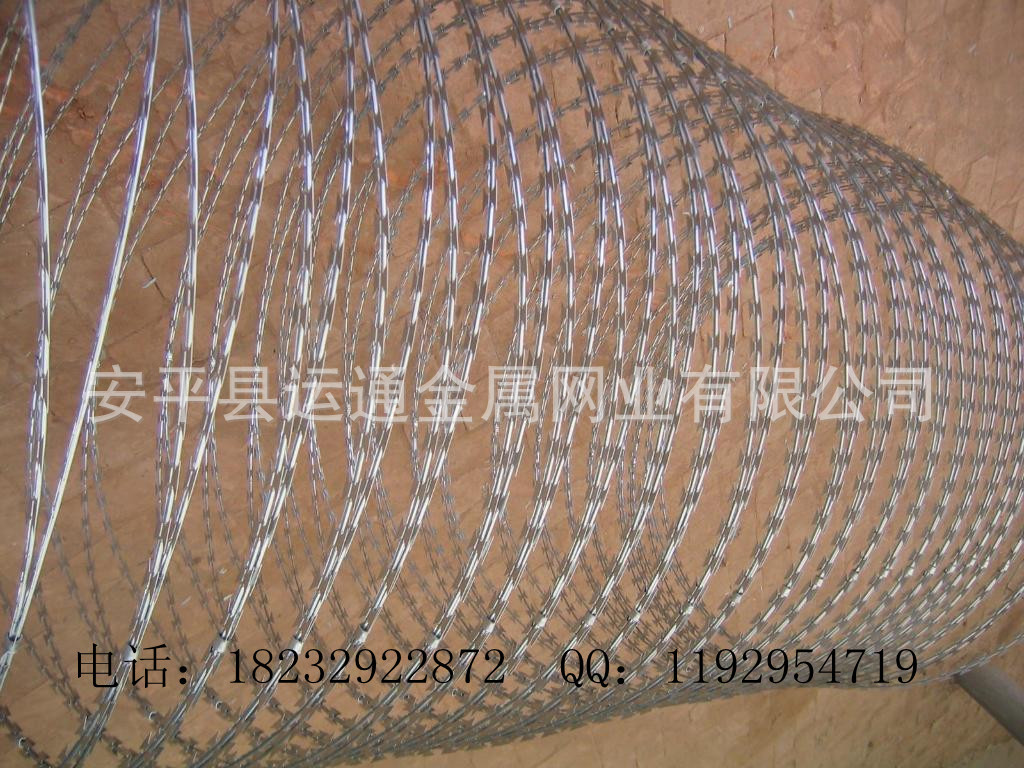 【安平厂家】刀片刺绳，刺铁丝，铁丝网示例图1