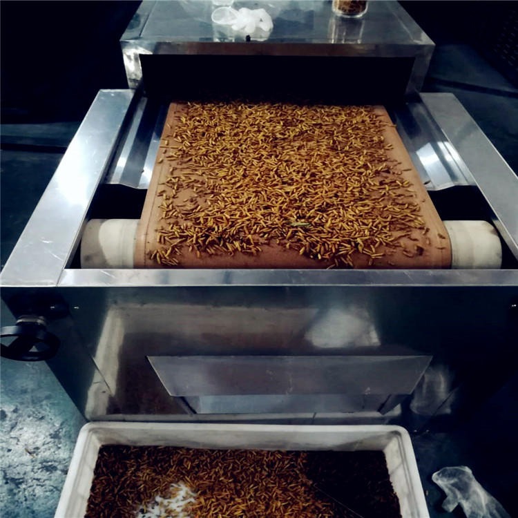 黑水虻深加工设备 昆虫干燥机 干燥效果好 可24小时连续工作