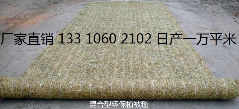 环保草毯 植物纤维毯 椰丝毯 植被毯 植草毯 植生毯示例图2
