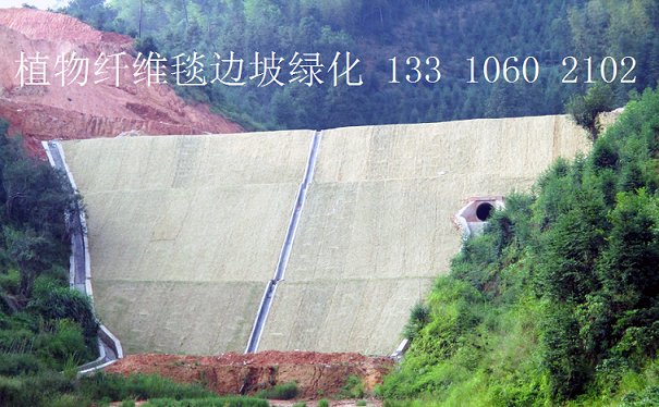 绿化草毯 生态植草毯 环保草毯 椰丝毯 植物纤维毯 椰丝毯示例图6