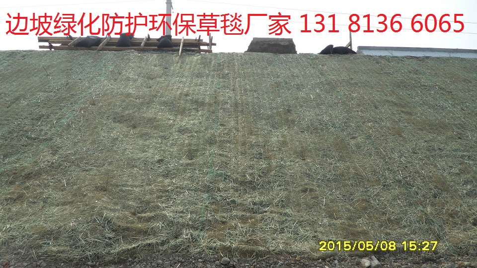 植生毯生态护坡，椰丝植生毯，椰丝植被毯边坡绿化示例图7