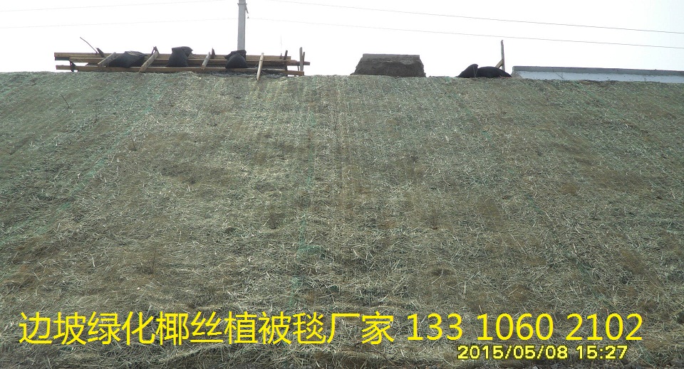 植草毯 边坡绿化草毯生产厂家，椰丝植被毯，生态毯护坡示例图6