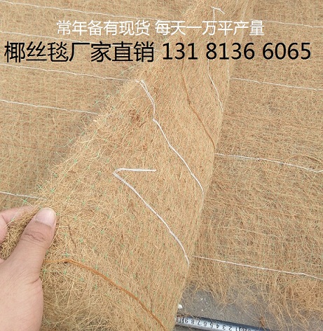 环保植草毯 植物纤维毯 椰丝毯 一体化草毯示例图4