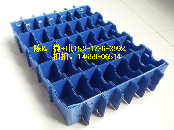 湖南4毫米塑料中空板塑料 蓝色pp万通板 包装缓冲材料 防水防潮示例图1