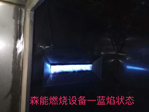 武汉正英Shoei燃烧器DCM直燃式燃气加热燃烧器示例图2
