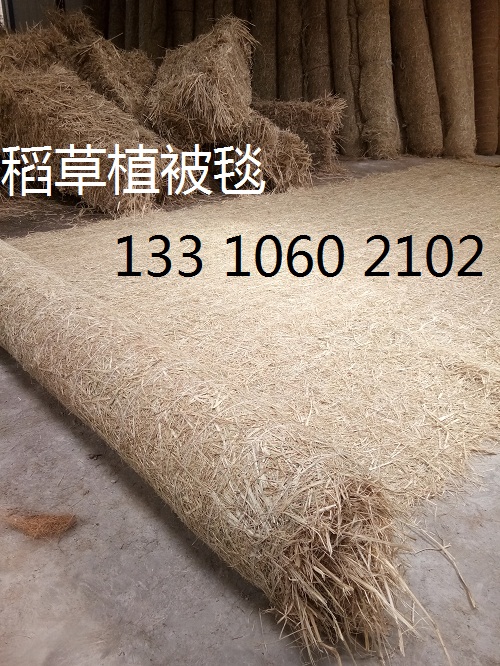 绿化草毯 植物纤维毯边坡绿化 环保草毯 椰丝毯示例图6