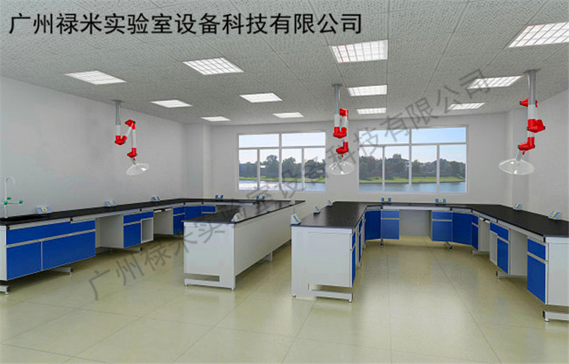 广州禄米生产实验室家具_全钢钢制实验室家具批发示例图2