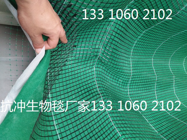 贵州边坡防护环保草毯|环保草毯|护坡草毯价格示例图7