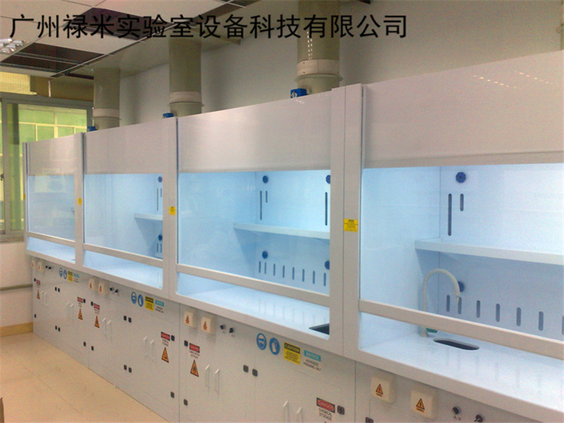 PP通风橱品牌制造商 广州禄米实验室设备示例图2