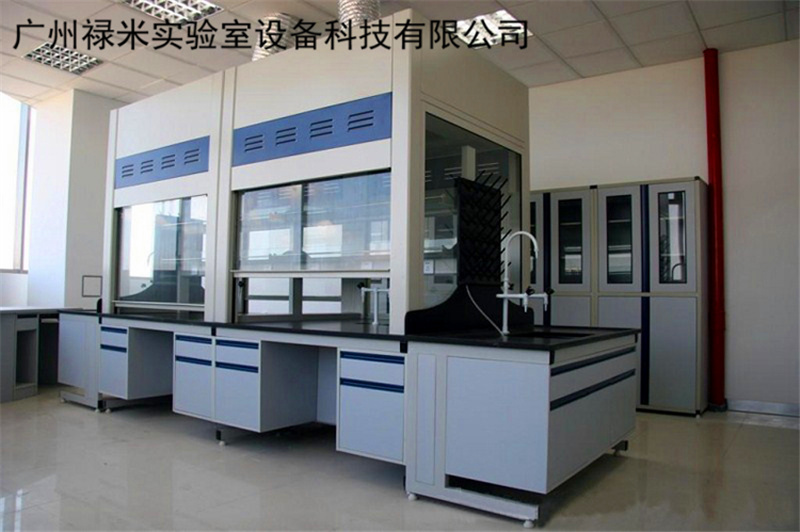 禄米实验室设备 广东桌上型通风橱加工厂 LUMI-TF15Z 钢板表面处理为磷化后喷塑（浅灰色）示例图1