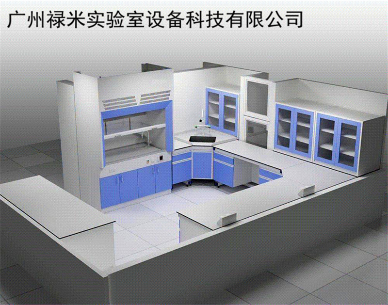 广州禄米实验室装修工程，实验室整体规划设计厂家 专业打造“建造绿色、安全、智能化实验室，提供一站式服务”示例图3
