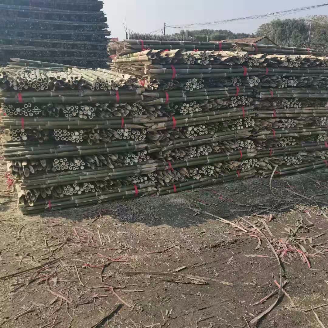 北京大量批发3米竹竿 农用绿化工程用工地用毛竹尾
