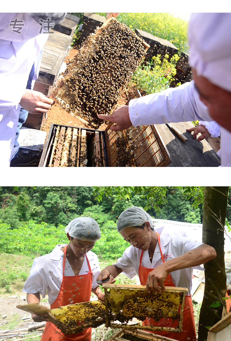 70公斤桶装散装蜂蜜土蜂蜜野生蜜 蜂蜜原料经销批发 出口品质示例图10