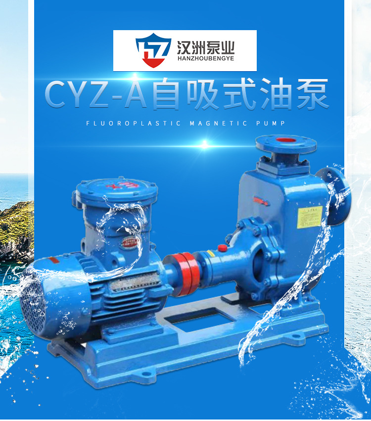 CYZ-A自吸式油泵 管道增压油泵 304 316不锈钢自吸式离心油泵示例图1