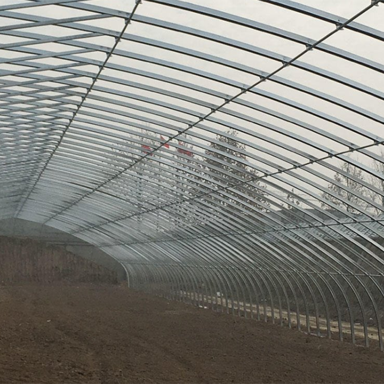 丞昊农业供应 七台河 蓝莓种植 几型钢大棚 专业设计