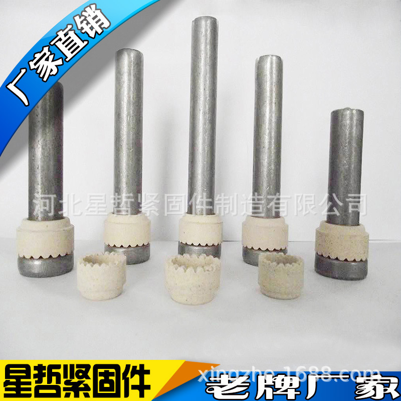 焊钉 栓钉 剪力钉 ML15焊钉 钢结构焊钉 厂家生产定制 大量现货示例图4