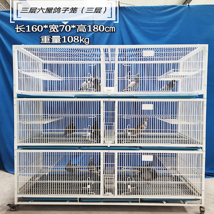 尊迈 带框鸽笼 养殖繁殖鸽子笼 鸽子配对笼 三层六位防锈鸽舍 全国发货 一件起发