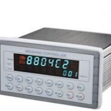 zx 称重显示仪表/称重控制器 型号:QV544-GM8804C-8  库号：M328903