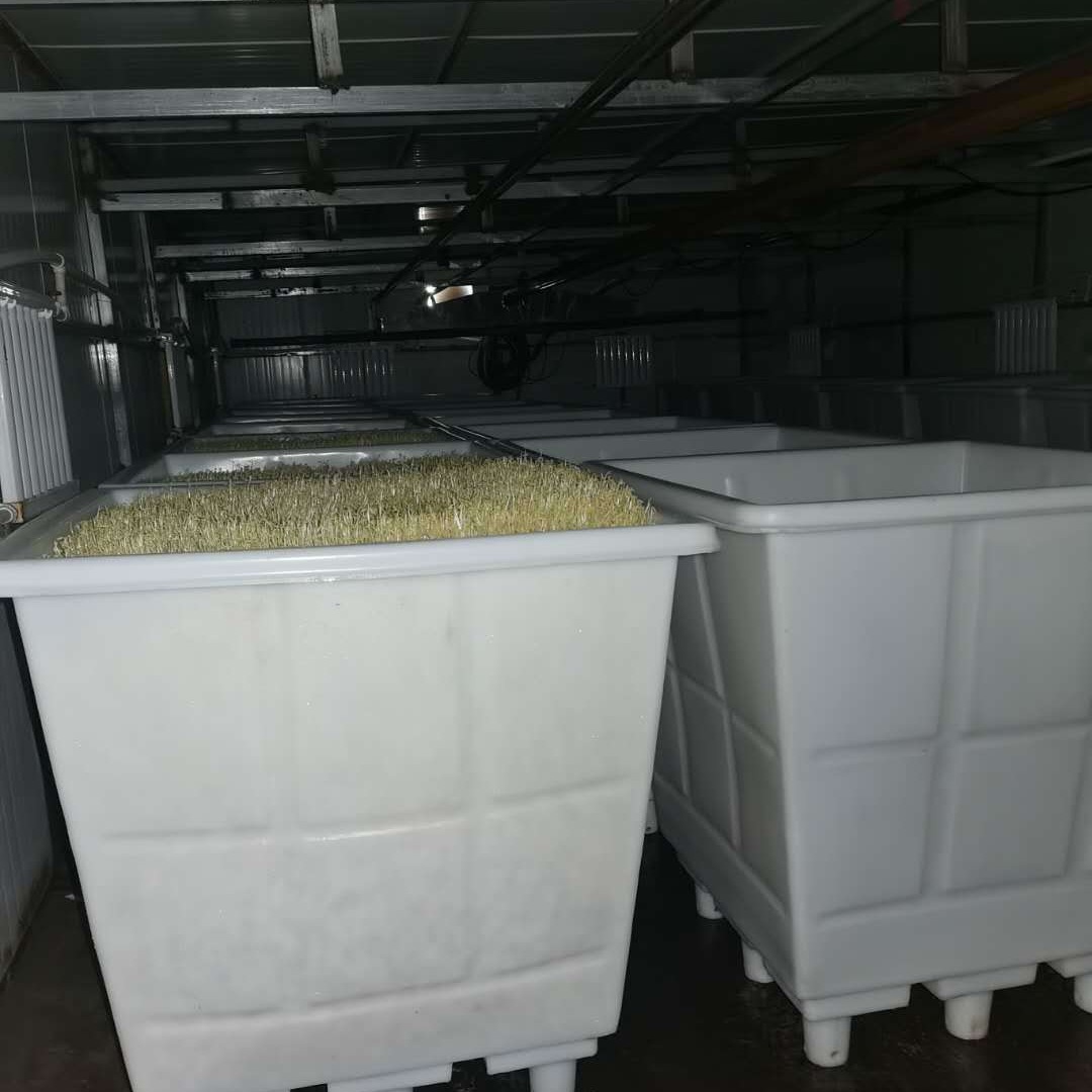 雅格塑料孵化桶 豆芽孵化车间专用豆芽培育桶 进口pe料孵化方桶