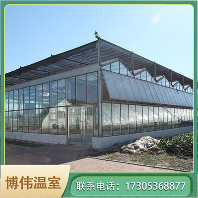 纹络式玻璃温室工程 疏菜温室大棚 智能玻璃温室 博伟 BW