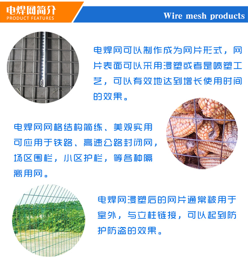 厂家直销 不锈钢电焊网 镀锌电焊网 养鸡电焊护栏网 可定制示例图13