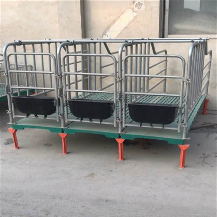 整套定位栏出售 猪设备必备定位栏 晟坤  生产厂家