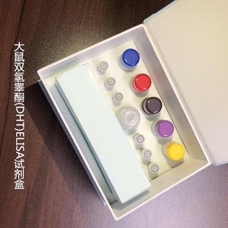 大鼠双氢睾酮(DHT)ELISA试剂盒  WSJH20528A  96T 维克奇图片