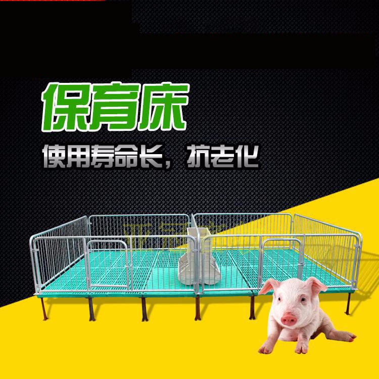 新生小猪专用亚冠YG-001,仔猪保育床，双体仔猪保育床，质量好