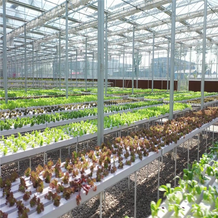玻璃温室建设 平度辉腾温室 连栋盆栽植物大棚图片