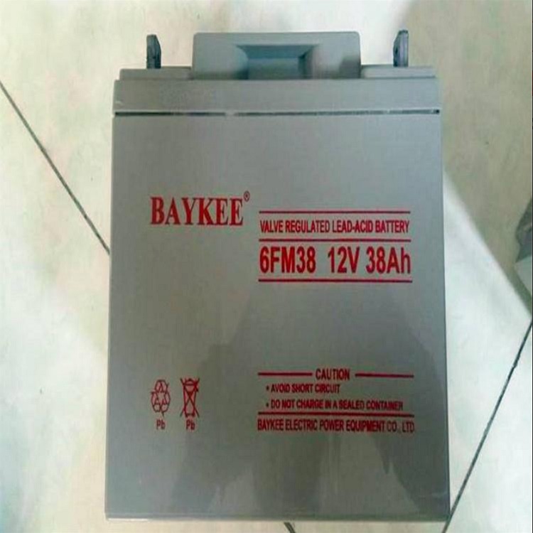 BAYKEE柏克蓄电池6FM38 12V38AH 不间断电源 直流屏电源 监控专用电池