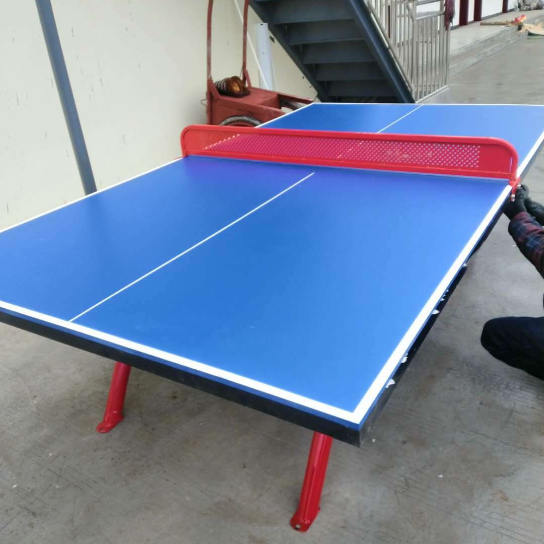 厂家直销 室内乒乓球台 可移动室内乒乓桌 成人儿童标准比赛乒乓球台 成都迅展体育设施