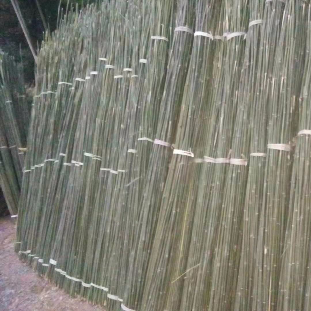 崔琦竹木原产地竹子批发2到3米小竹杆菜架竹 蔬菜种植搭架用竹竿 竹条长短粗细可定制图片