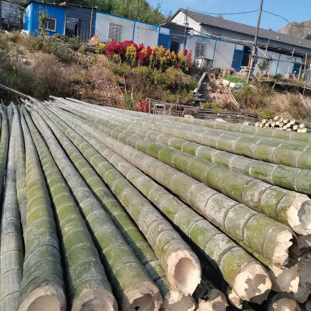 毛竹厂家 房屋外立面搭架用竹竿 电力搭架用7米长毛竹杆量大从优