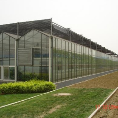 青州鑫泽温室 玻璃大棚建设 玻璃温室组装 玻璃温室园区规划