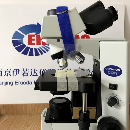 奥林巴斯显微镜OLYMPUS CX31 正置显微镜  显微镜物镜 荧光显微镜 显微镜现货供应 售后有保障图片