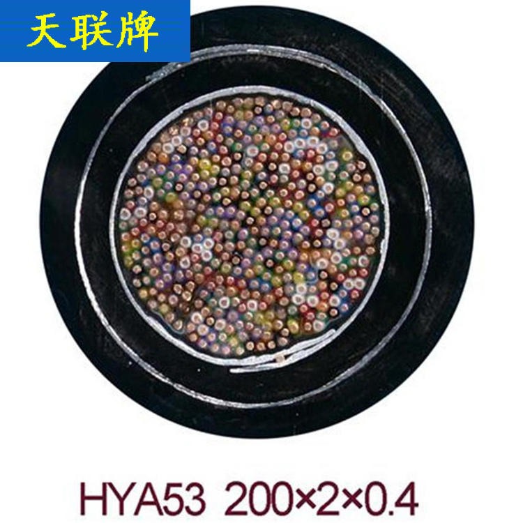 HYA22通信电缆 ZR-HYAT23电缆 天联牌 ZR-HYAT23阻燃通信电缆