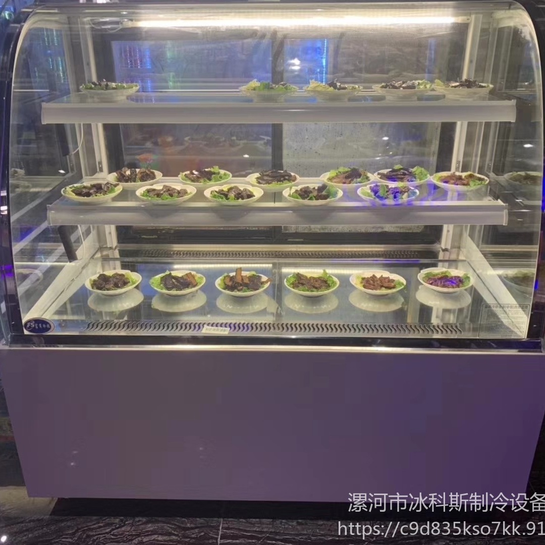 邯郸台式直角蛋糕展示柜 玻璃商用小型甜品冰箱 西点寿司冷藏保鲜柜   未来雪冷柜WLX-DGG-76