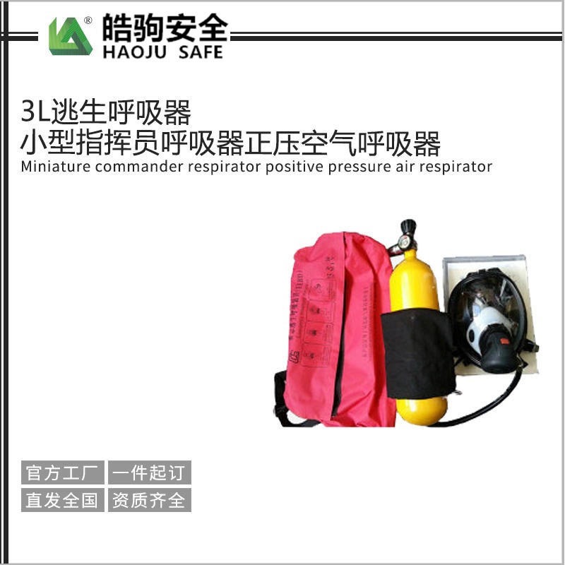 消防呼吸器  逃生自救式呼吸器3升  工业化工呼吸器图片