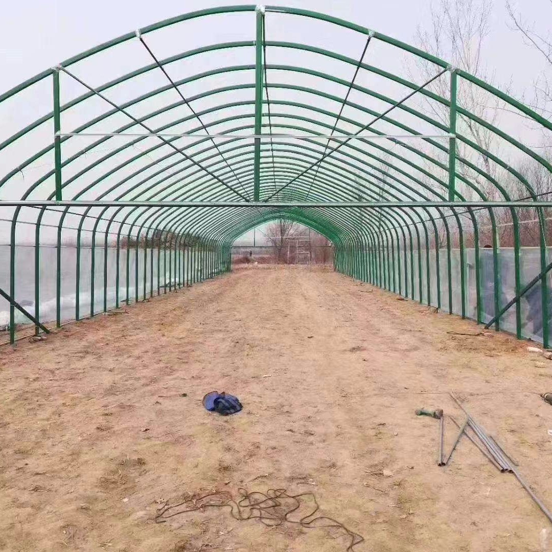 新型养猪大棚 弧形大棚 菌菇大棚搭建 盖一亩地大棚