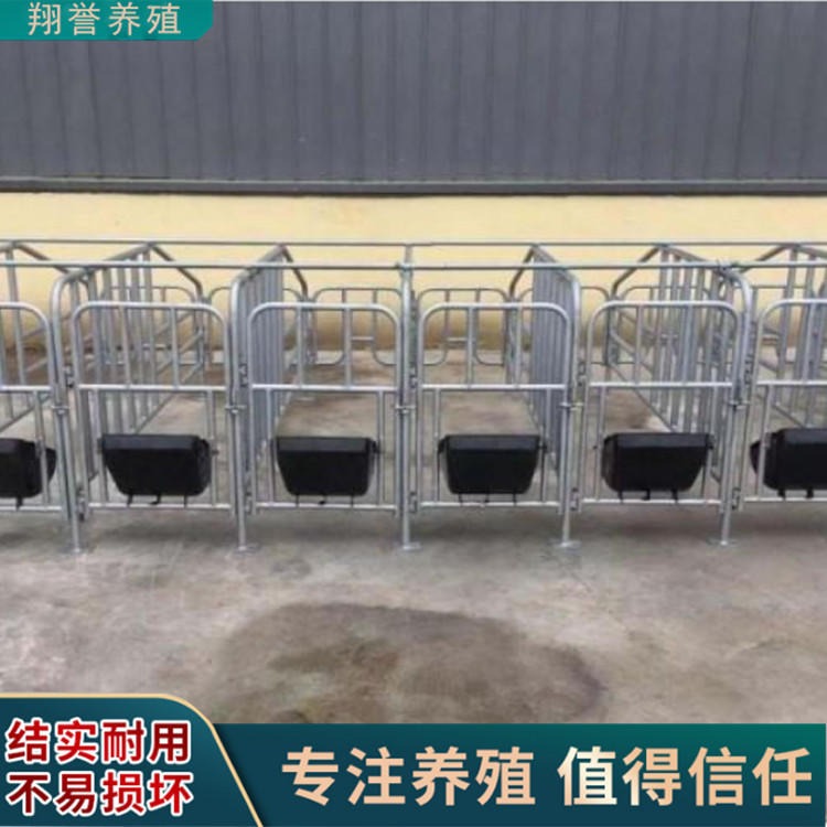 养猪场全套养殖设备 一体两用限位栏 定位栏分娩床 翔誉