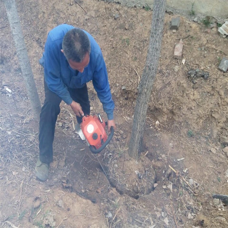 广宁县销量好的挖树机价格 带土球挖树机图片
